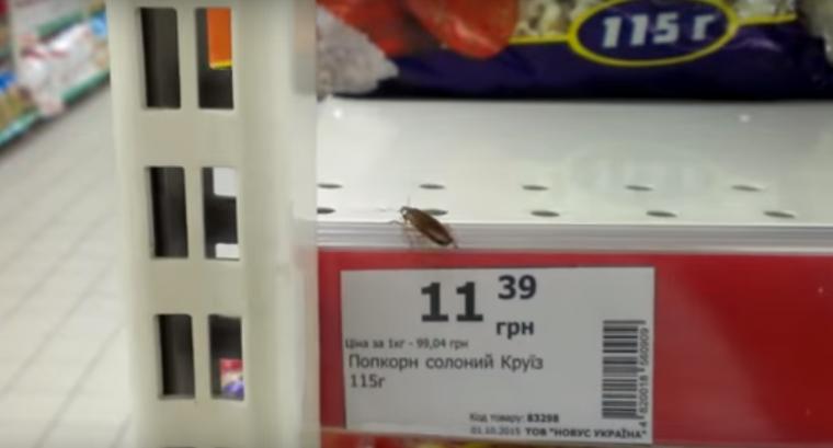 У супермаркеті «торгують» живими тарганами? (ВІДЕО)