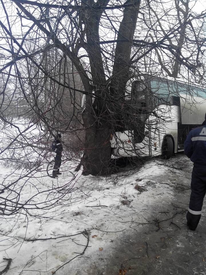 На Косівщині пасажирський автобус врізався у дерево, є постраждалі