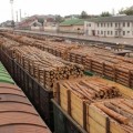 Депутати з’ясовують, скільки деревини вивезли з Прикарпаття. ВІДЕО