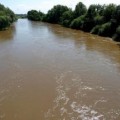 Синоптики попередили про підйом рівня води в річках на Прикарпатті
