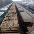 В Івано-Франківську закликають підтримати акцію проти вирубки Карпат