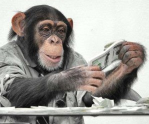 Науковці повідомили, що у поведінці мавп та політиків є схожість