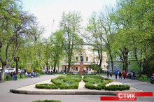 У сквері на площі Міцкевича з’явиться LED інсталяція «Пісня дерев»
