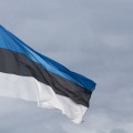 В Естонії знайдено скарб епохи вікінгів