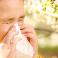 Медики Прикарпаття застерігають: прийшов час сезонних алергій (ВІДЕО)