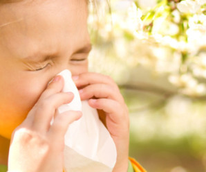 Медики Прикарпаття застерігають: прийшов час сезонних алергій (ВІДЕО)