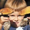 На Франківщині трирічна дитина отруїлася грибами