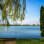 В Івано-Франківську на міському озері п’яний батько хотів навчити двох маленьких дітей плавати.