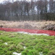 Екологічна катастрофа на Київщині. Річка стала кровавого кольору(відео)