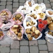 Ринки на Прикарпатті переповнились продавцями грибів.