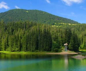 Одне з найпрекрасніших озер України: Синевир