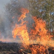 Пожежі сухої трави на Івано-Франківщині набувають загрозливих масштабів