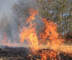 Пожежі сухої трави на Івано-Франківщині набувають загрозливих масштабів