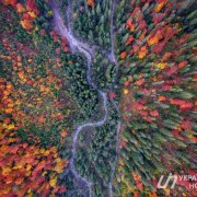 Кольорові Карпати: вражаюча осінь біля Дземброні з висоти польоту птахів (фотофакт)