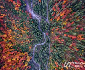 Кольорові Карпати: вражаюча осінь біля Дземброні з висоти польоту птахів (фотофакт)