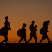 На Прикарпатті затримали 20 нелегальних мігрантів