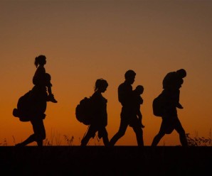 На Прикарпатті затримали 20 нелегальних мігрантів