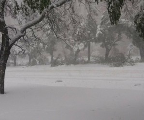 Вхурделило: Як виглядає зараз Івано-Франківськ під снігом