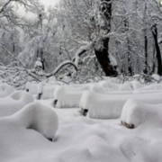 На Україну насувається циклон: потепліє, а сніг йтиме “шапкою”