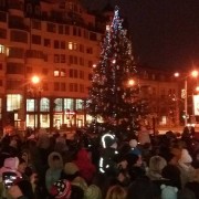 В Івано-Франківську на площі перед Драмтеатром засяяла жива ялинка (фото+відео)