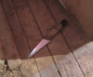 На Закарпатті 10-річний хлопець порізав ножем свого однолітка і втік до лісу: фото