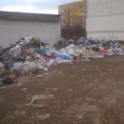 Влада Богородчан не може впоратися зі сміттям (фото)