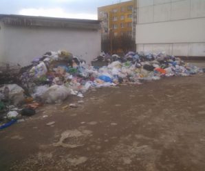 Влада Богородчан не може впоратися зі сміттям (фото)