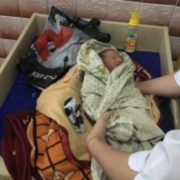 Серце крається. В ковдрі та поліетиленовому пакеті знайшли живе немовля(фото)