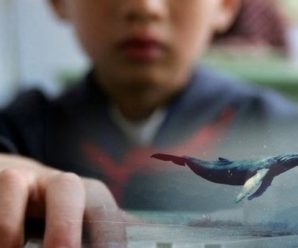 “Синій кит” на Львівщині: хлопчик влаштував онлайн-трансляцію самогубства (фото)