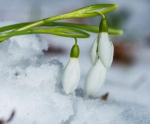 Сніг і зміна погоди: прогноз синоптиків на тиждень