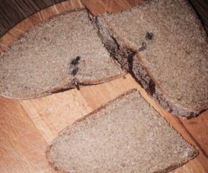 Цвях у хлібі чи гриб у соці: Прикарпатці скаржаться на неякісні продукти (відео)