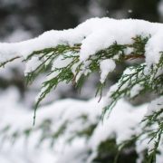 Сніг і мороз: на Прикапатті оголосили штормове попередження