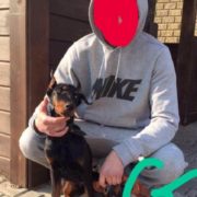«Він з’їв кліща»: господар собаки, відео якого вразили користувачів соцмереж, пояснив його стан