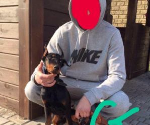 «Він з’їв кліща»: господар собаки, відео якого вразили користувачів соцмереж, пояснив його стан