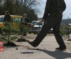 У Ворохті в ями посадили дерева: люди вимагають ремонту дороги. ФОТО
