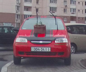 Подарували “квіти”: у Києві жорстко поглумилися над “героїнею” парковки