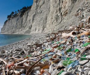 Сміття, водорості та порожні пляжі: у Криму знову провалять курортний сезон