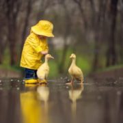 В Україні різко зміниться погода: дощі і похолодання