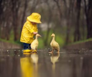 В Україні різко зміниться погода: дощі і похолодання