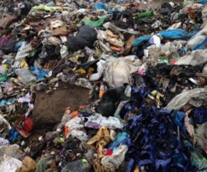 На Івано-Франківщині мешканці багатоповерхівки потерпають від сусідки-збирачки сміття (відео)