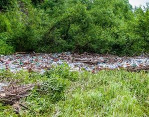 На Франкіщині на місцевій річці утворилась “гребля” із пластикових пляшок. ФОТО