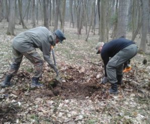 У лісі на Прикарпатті знайшли останки трьох осіб (відео)