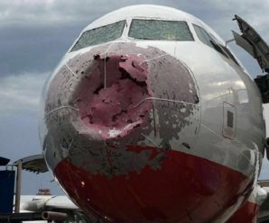 «Пасажири вже прощалися з життям»: в Мережі з’явилося відео літака, який героїчно посадив у Стамбулі український пілот