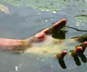 Страшна знахідка. На Прикарпатті в річці виловили труп 7-річної дитини