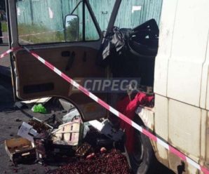 Страшно навіть дивитись: У Києві мікроавтобус врізався у металеву опору! Є загиблі! (ФОТО)