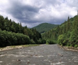 Дві прикарпатські річки очолили рейтинг найчистіших рік України