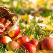 Яблучний спас 2017: що не можна робити в свято