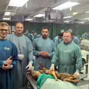Аспірант ІФНМУ пройшов навчання в Інституті анатомії в Австрії (фото)