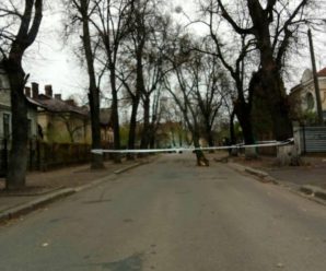 Вулицю Тарнавського перекрили через повалене дерево. ФОТО