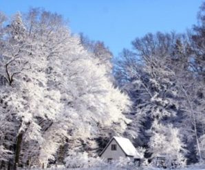 Синоптики прогнозують перший сніг уже на початку тижня